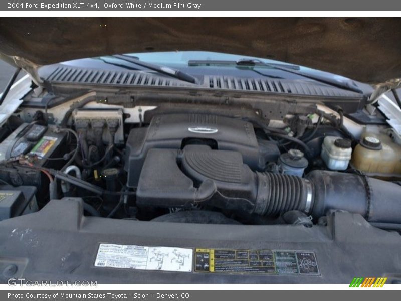 Oxford White / Medium Flint Gray 2004 Ford Expedition XLT 4x4