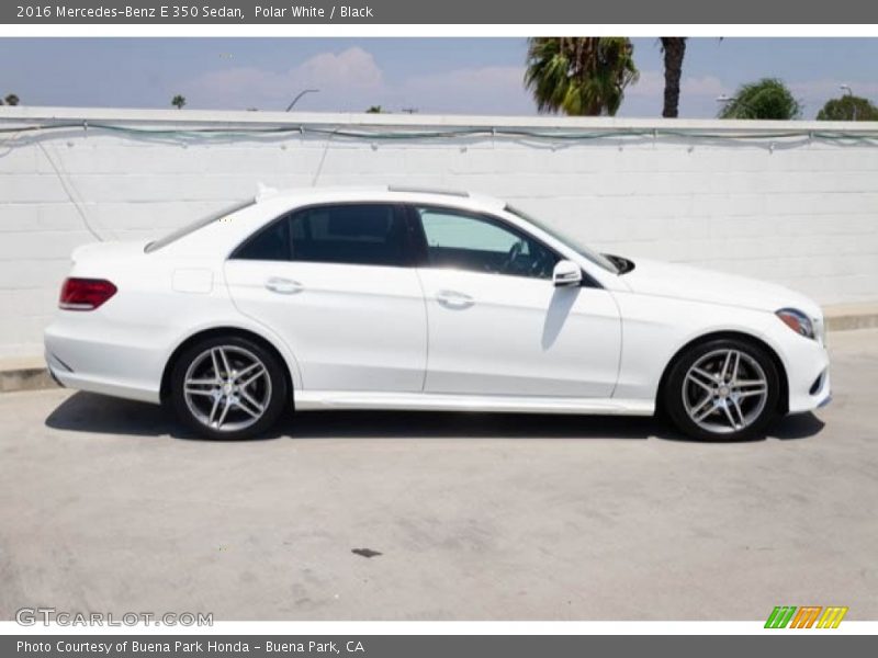 Polar White / Black 2016 Mercedes-Benz E 350 Sedan