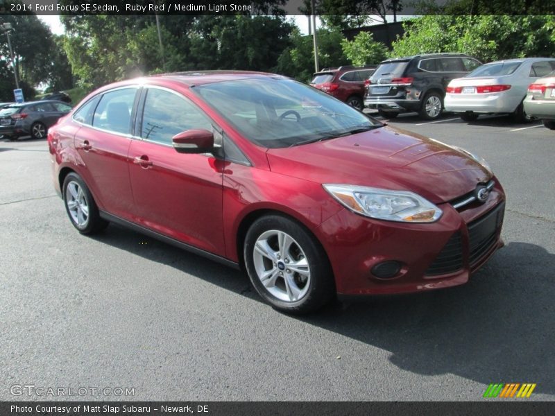 Ruby Red / Medium Light Stone 2014 Ford Focus SE Sedan