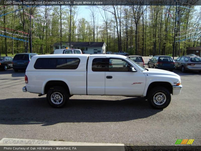 Bright White / Agate 1997 Dodge Dakota Sport Extended Cab 4x4