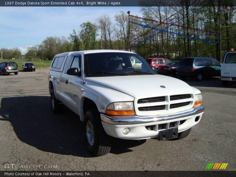 Bright White / Agate 1997 Dodge Dakota Sport Extended Cab 4x4