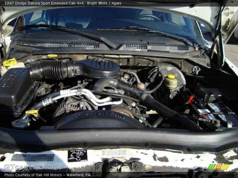 Bright White / Agate 1997 Dodge Dakota Sport Extended Cab 4x4