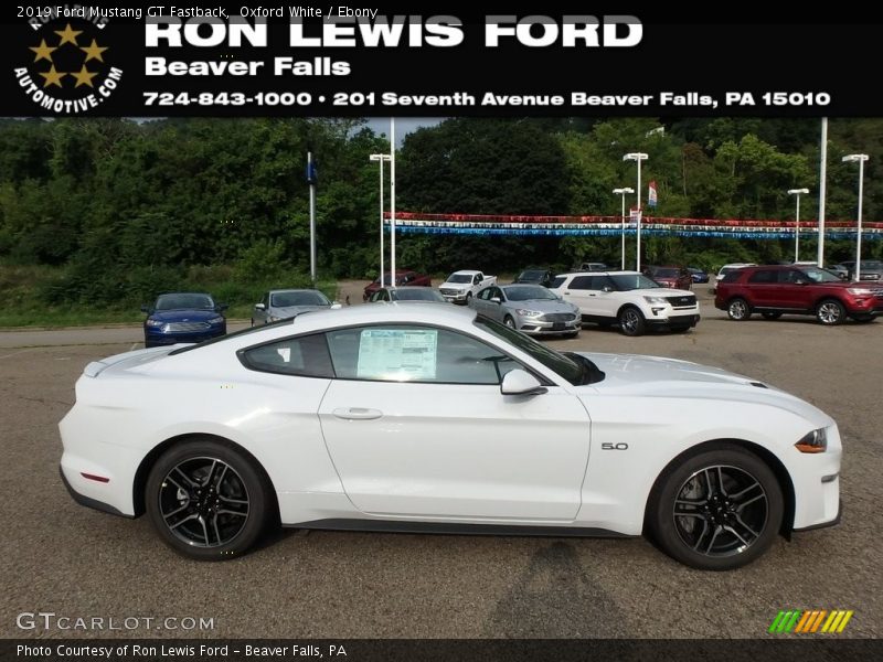 Oxford White / Ebony 2019 Ford Mustang GT Fastback
