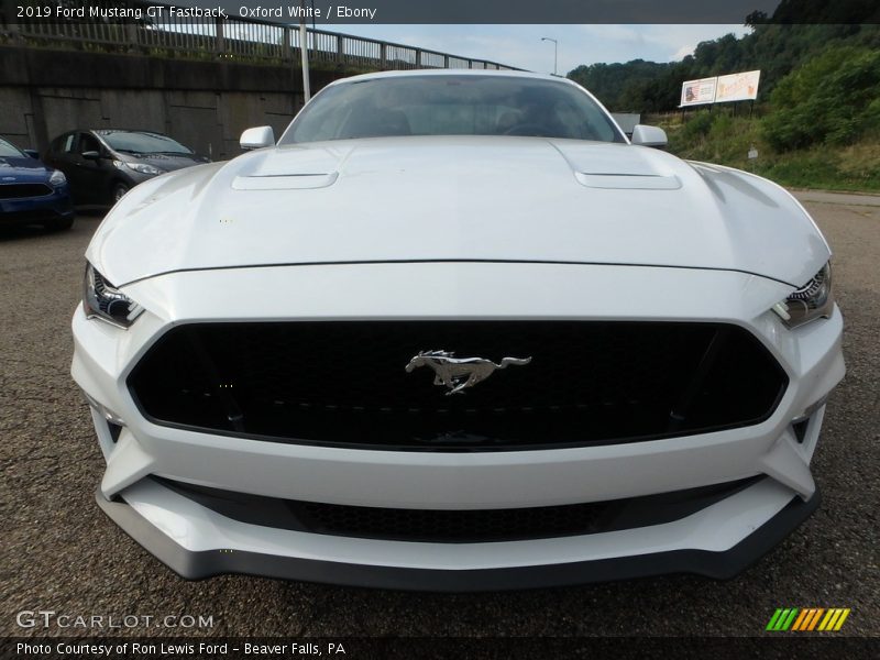 Oxford White / Ebony 2019 Ford Mustang GT Fastback