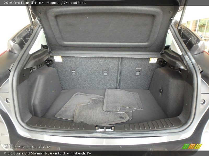 Magnetic / Charcoal Black 2016 Ford Focus SE Hatch