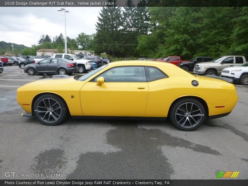 Yellow Jacket / Black 2018 Dodge Challenger R/T Scat Pack
