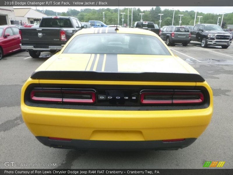 Yellow Jacket / Black 2018 Dodge Challenger R/T Scat Pack