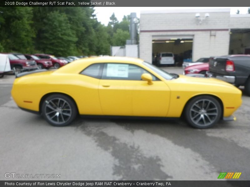 Yellow Jacket / Black 2018 Dodge Challenger R/T Scat Pack