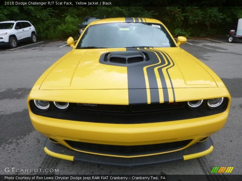 Yellow Jacket / Black 2018 Dodge Challenger R/T Scat Pack