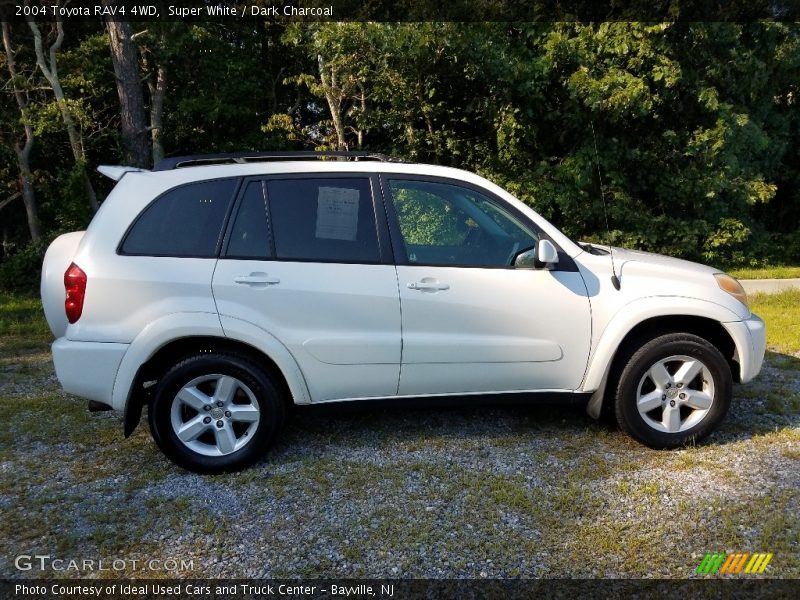 Super White / Dark Charcoal 2004 Toyota RAV4 4WD