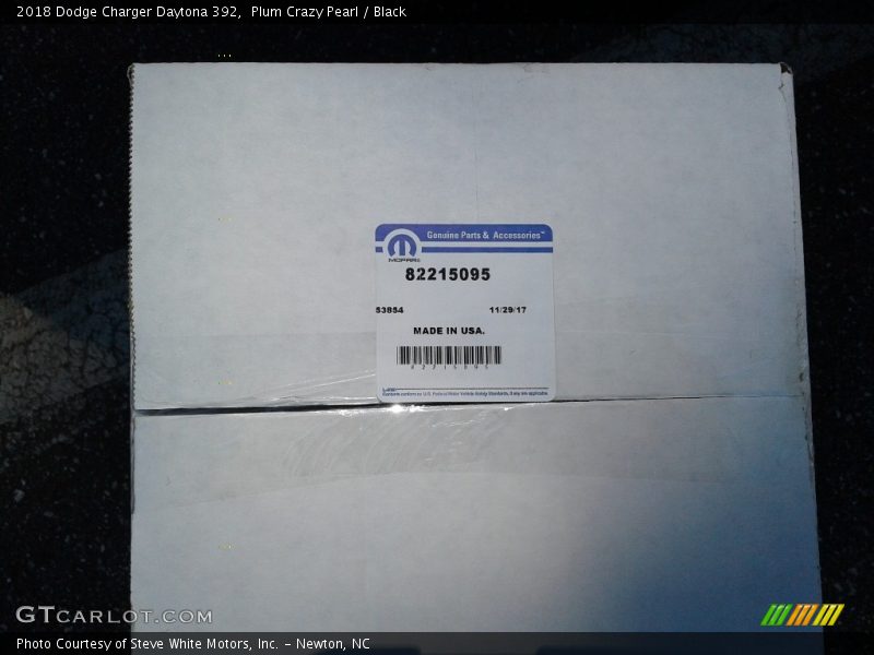 Plum Crazy Pearl / Black 2018 Dodge Charger Daytona 392