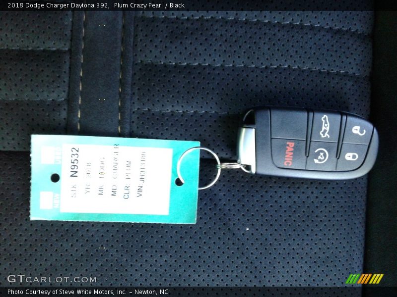 Plum Crazy Pearl / Black 2018 Dodge Charger Daytona 392