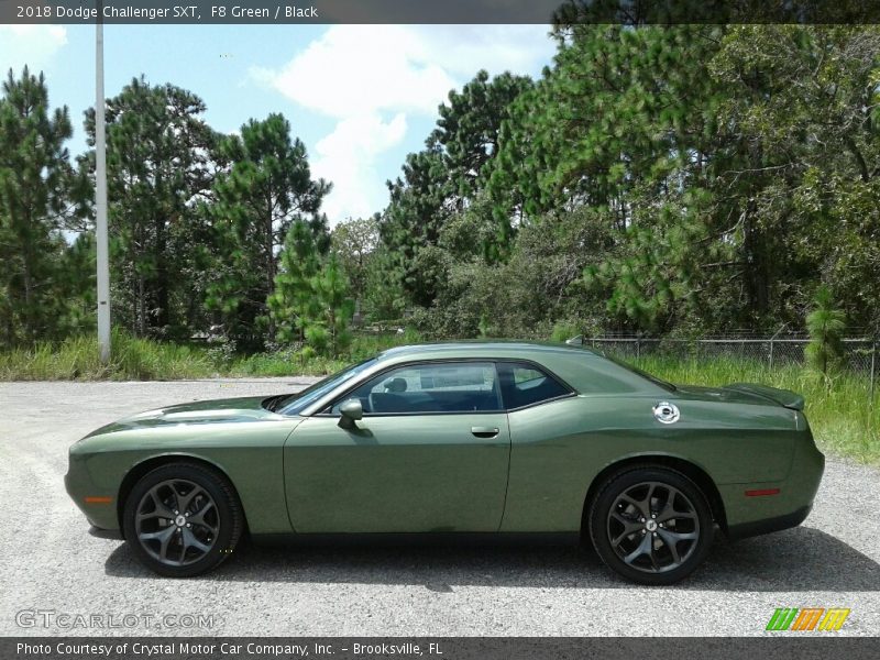 F8 Green / Black 2018 Dodge Challenger SXT