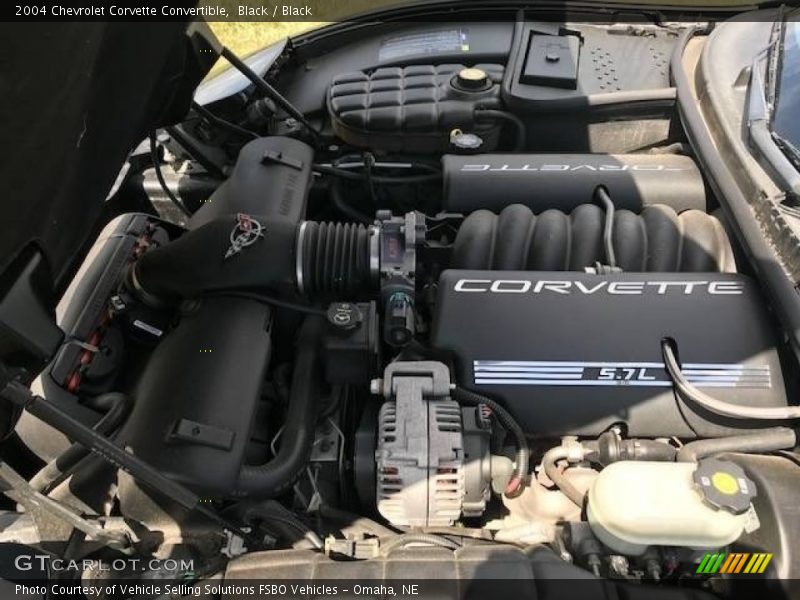 Black / Black 2004 Chevrolet Corvette Convertible