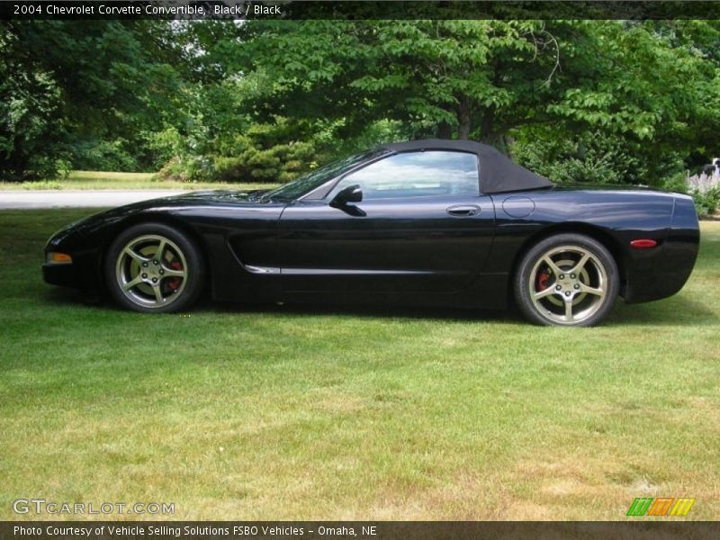 Black / Black 2004 Chevrolet Corvette Convertible