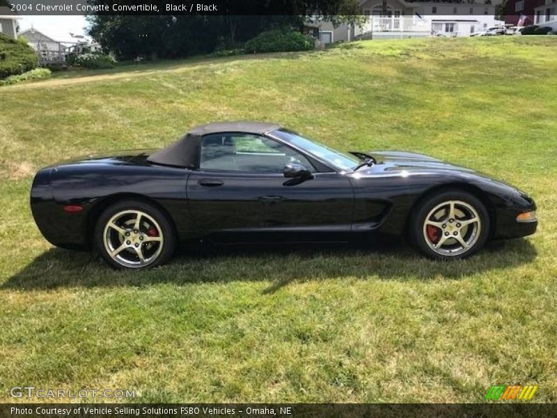 Black / Black 2004 Chevrolet Corvette Convertible