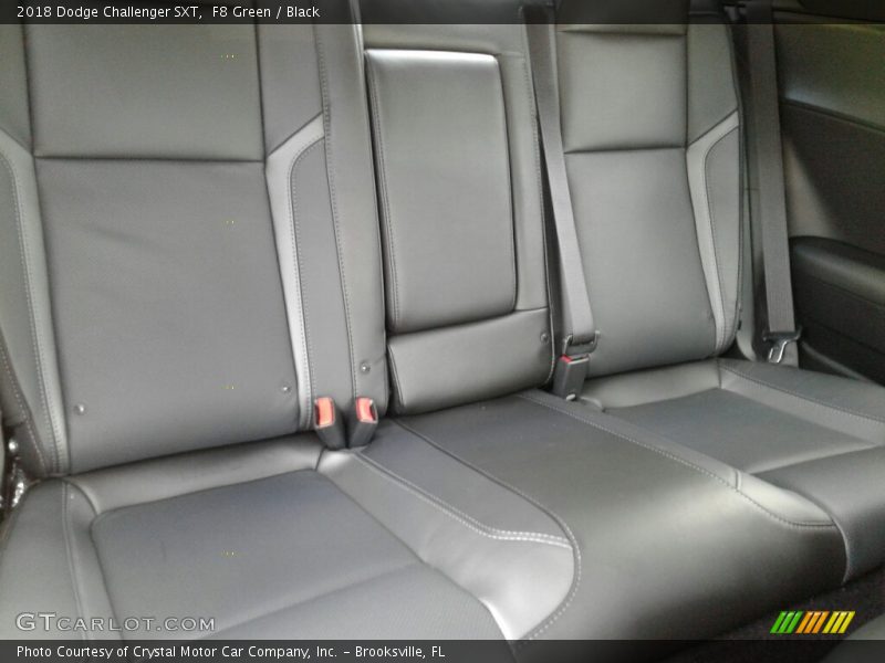 F8 Green / Black 2018 Dodge Challenger SXT