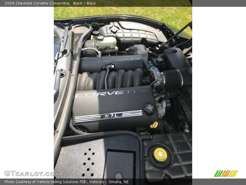 Black / Black 2004 Chevrolet Corvette Convertible