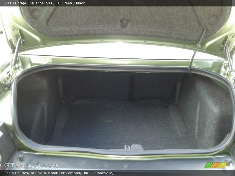 F8 Green / Black 2018 Dodge Challenger SXT