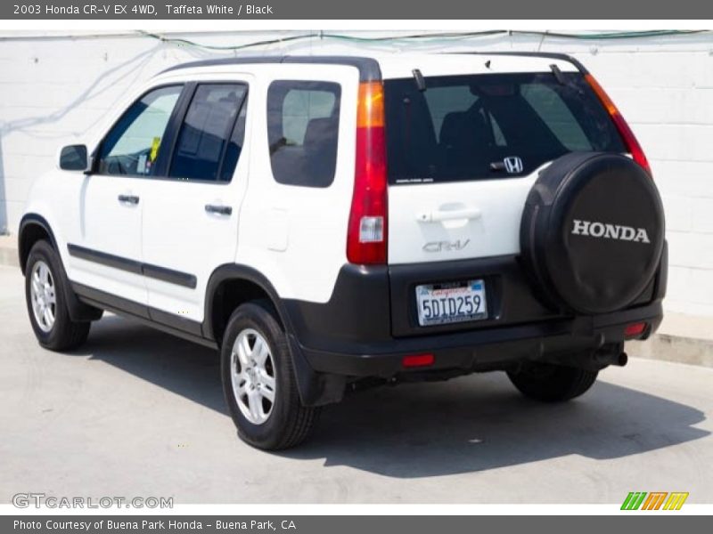 Taffeta White / Black 2003 Honda CR-V EX 4WD