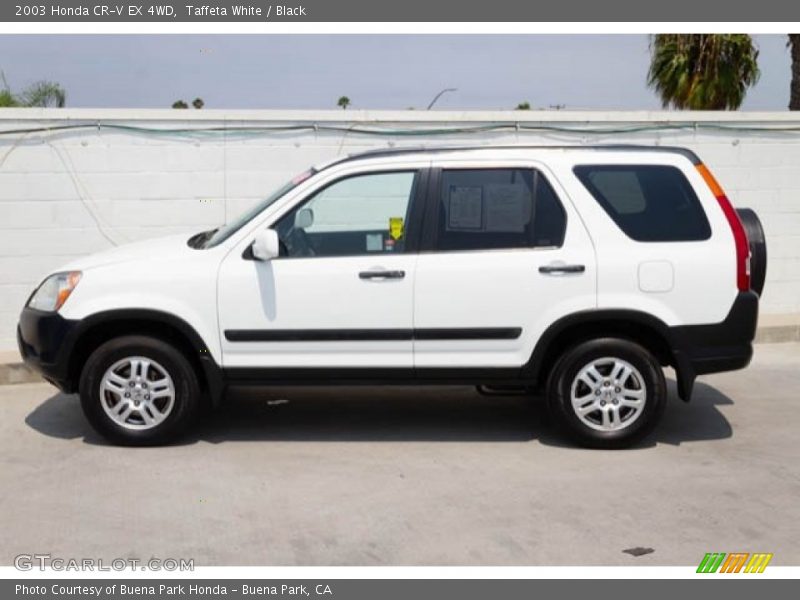 Taffeta White / Black 2003 Honda CR-V EX 4WD