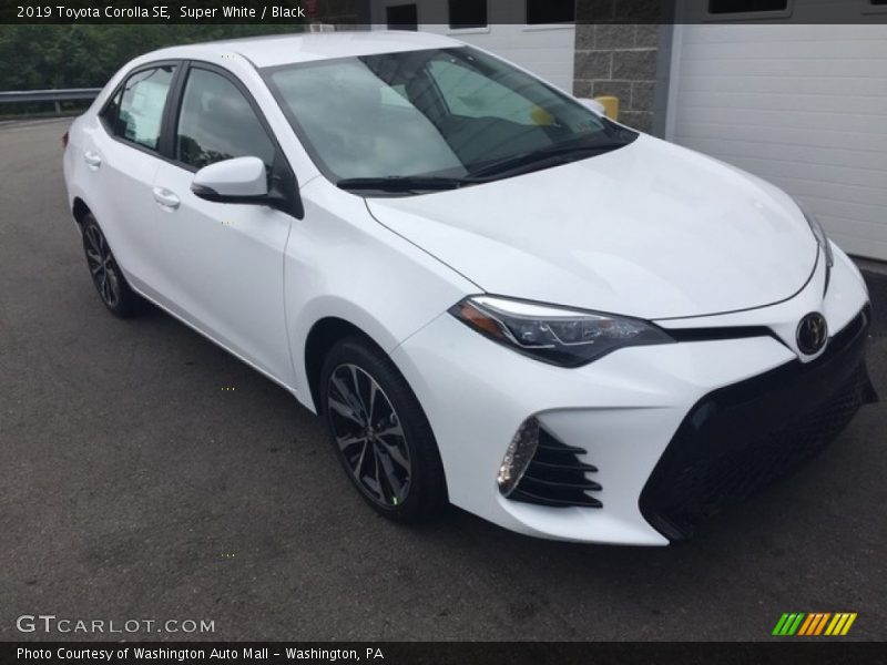 Front 3/4 View of 2019 Corolla SE