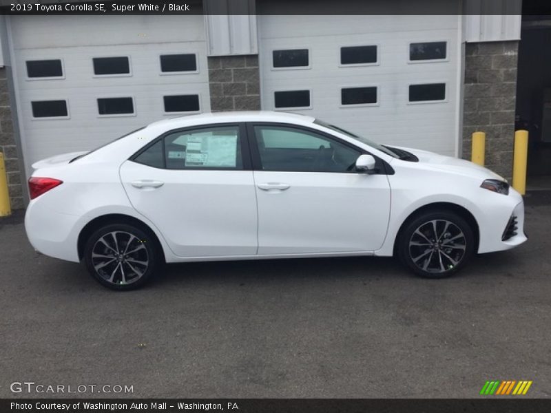  2019 Corolla SE Super White
