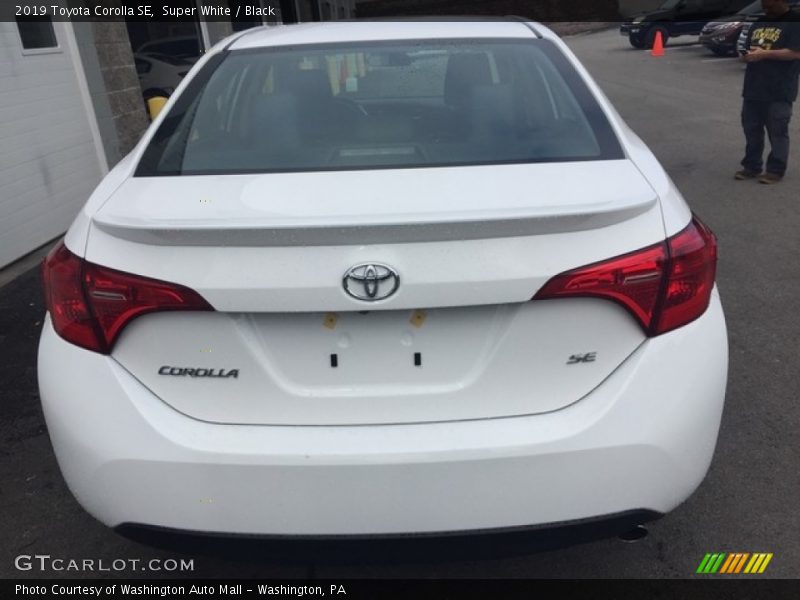 Super White / Black 2019 Toyota Corolla SE