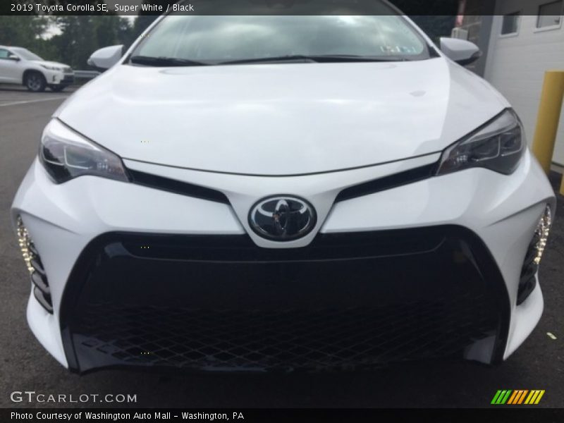 Super White / Black 2019 Toyota Corolla SE