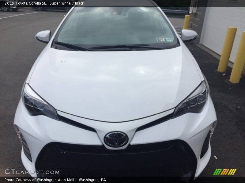 Super White / Black 2019 Toyota Corolla SE