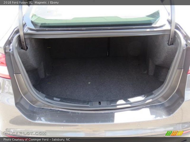 Magnetic / Ebony 2018 Ford Fusion SE