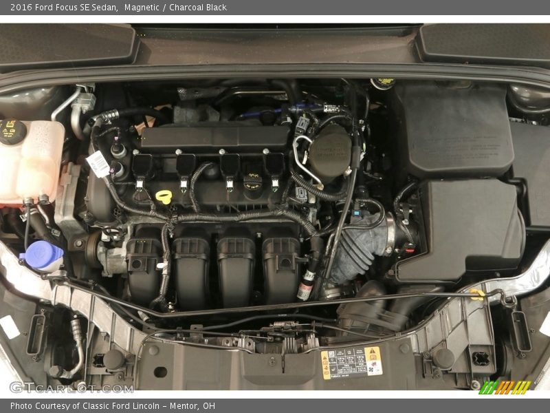 Magnetic / Charcoal Black 2016 Ford Focus SE Sedan