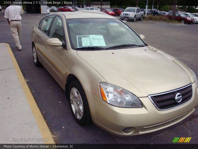 Velvet Beige / Blond 2003 Nissan Altima 2.5 S