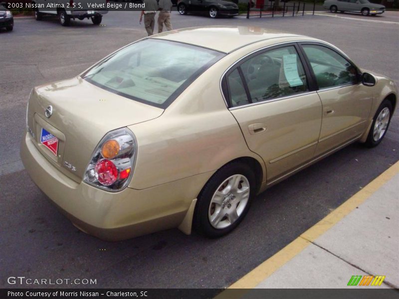 Velvet Beige / Blond 2003 Nissan Altima 2.5 S