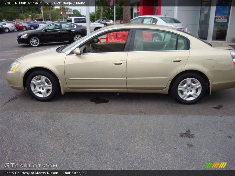 Velvet Beige / Blond 2003 Nissan Altima 2.5 S