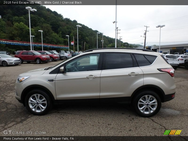 White Gold / Charcoal Black 2018 Ford Escape SEL 4WD