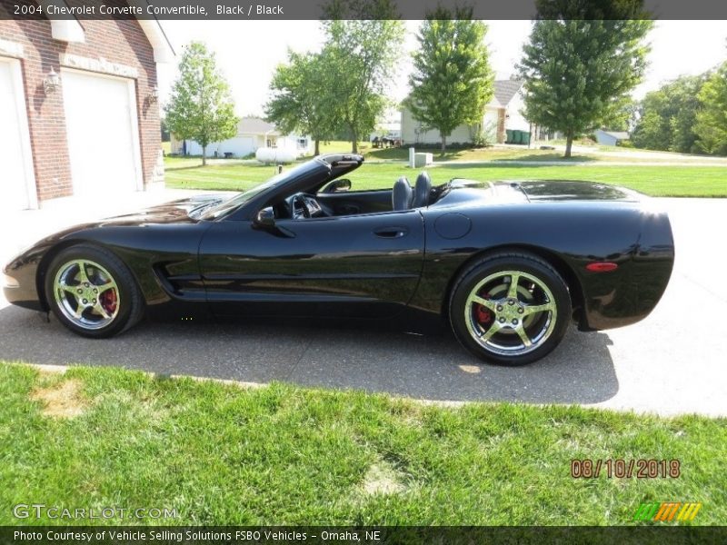 Black / Black 2004 Chevrolet Corvette Convertible