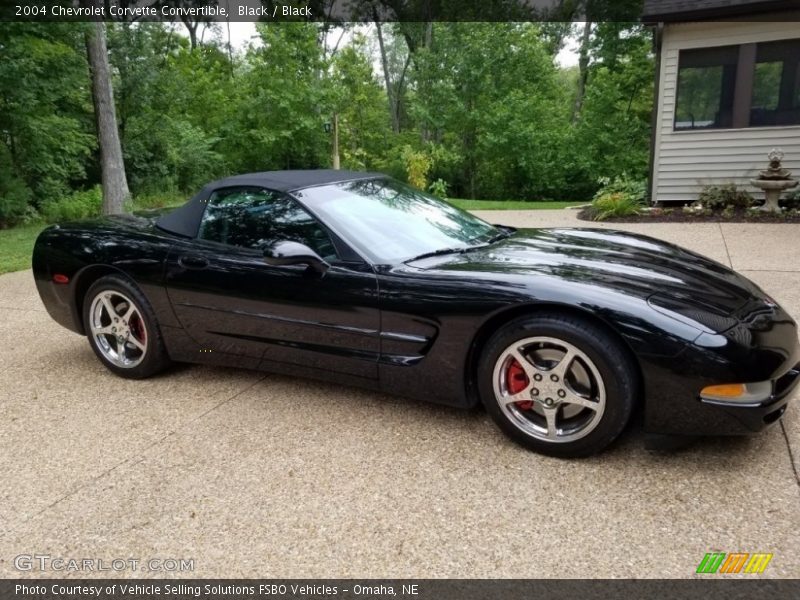 Black / Black 2004 Chevrolet Corvette Convertible