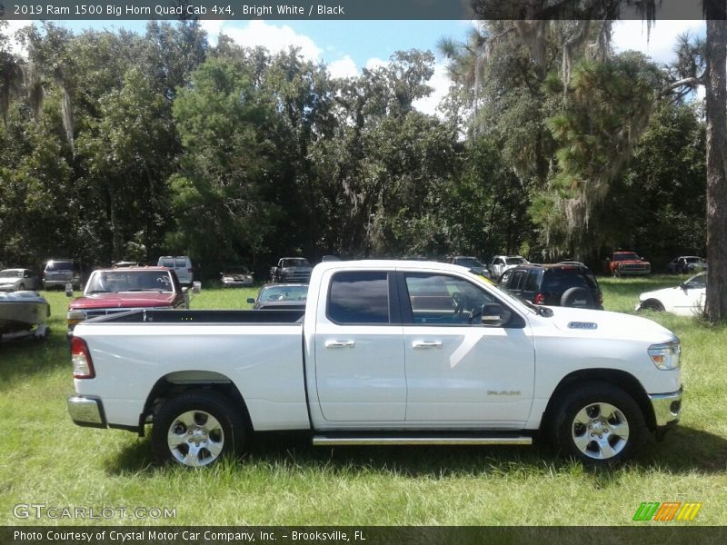 Bright White / Black 2019 Ram 1500 Big Horn Quad Cab 4x4