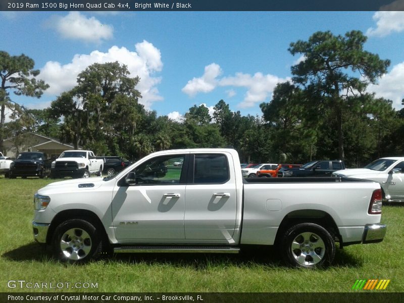 Bright White / Black 2019 Ram 1500 Big Horn Quad Cab 4x4