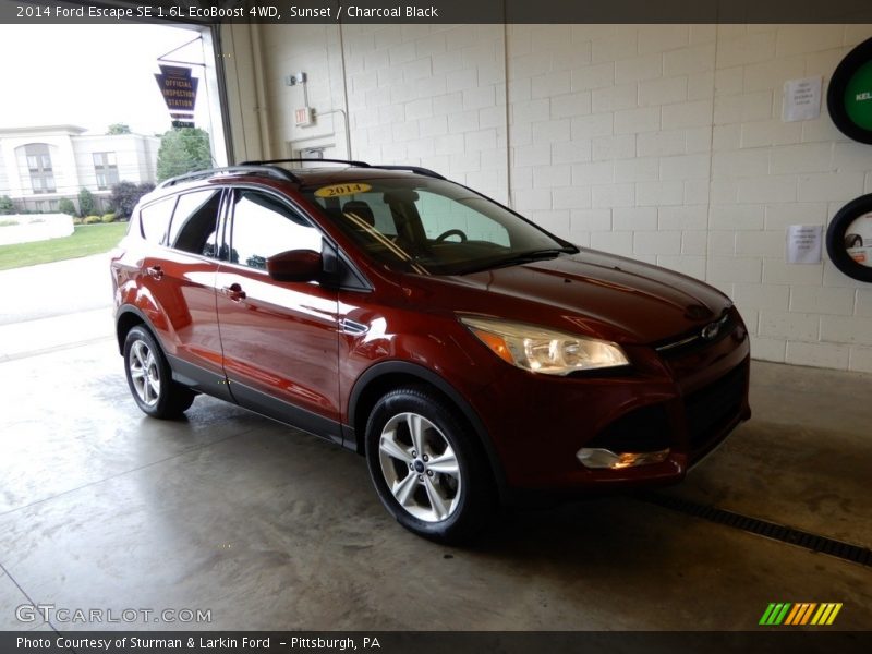 Sunset / Charcoal Black 2014 Ford Escape SE 1.6L EcoBoost 4WD