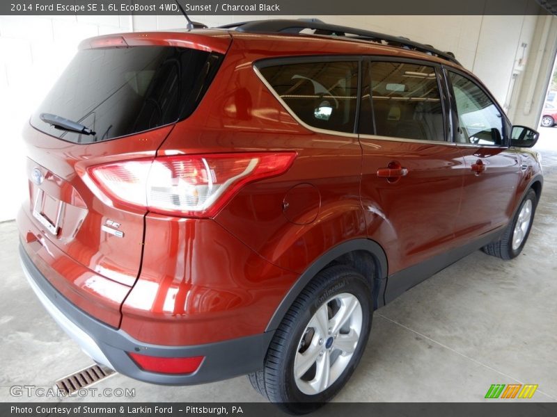 Sunset / Charcoal Black 2014 Ford Escape SE 1.6L EcoBoost 4WD