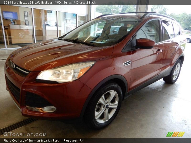 Sunset / Charcoal Black 2014 Ford Escape SE 1.6L EcoBoost 4WD