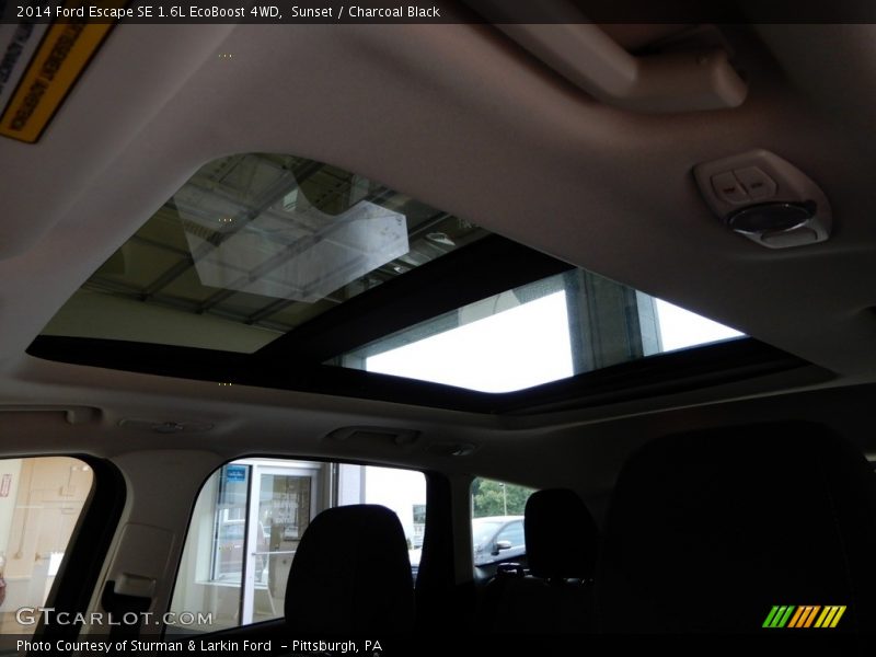 Sunset / Charcoal Black 2014 Ford Escape SE 1.6L EcoBoost 4WD
