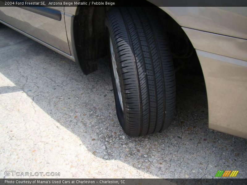 Arizona Beige Metallic / Pebble Beige 2004 Ford Freestar SE