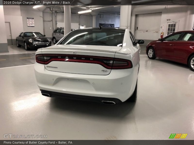 Bright White / Black 2016 Dodge Charger R/T