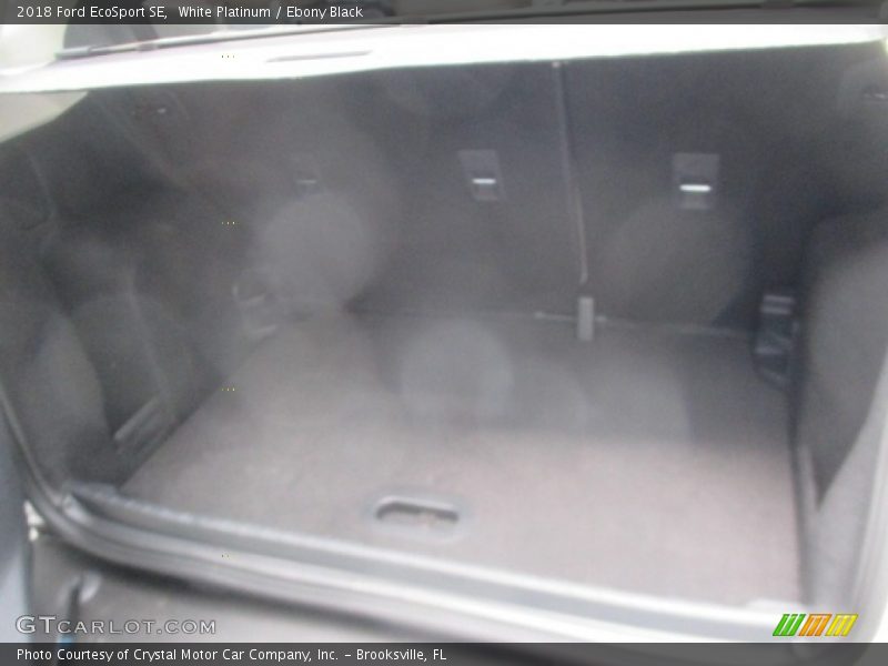 White Platinum / Ebony Black 2018 Ford EcoSport SE