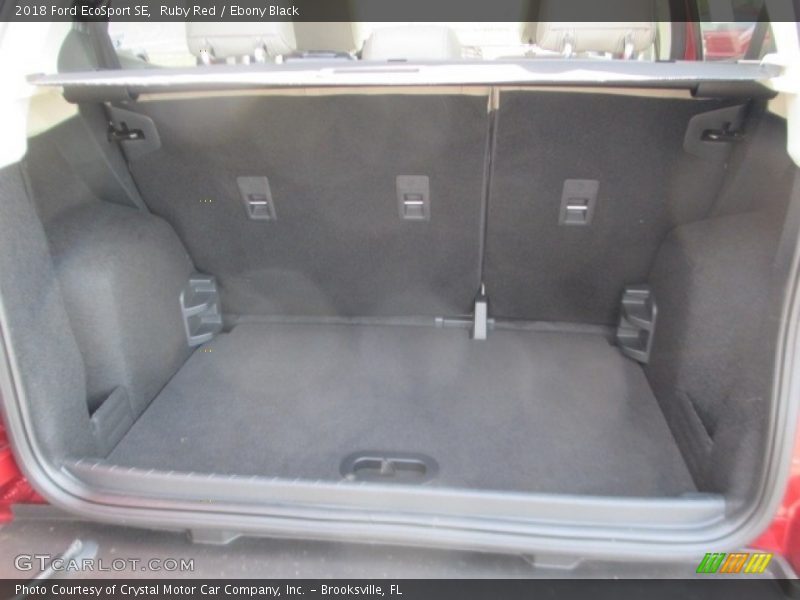 Ruby Red / Ebony Black 2018 Ford EcoSport SE