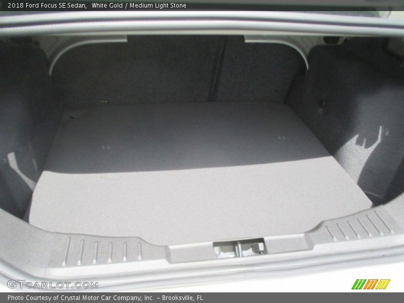 White Gold / Medium Light Stone 2018 Ford Focus SE Sedan
