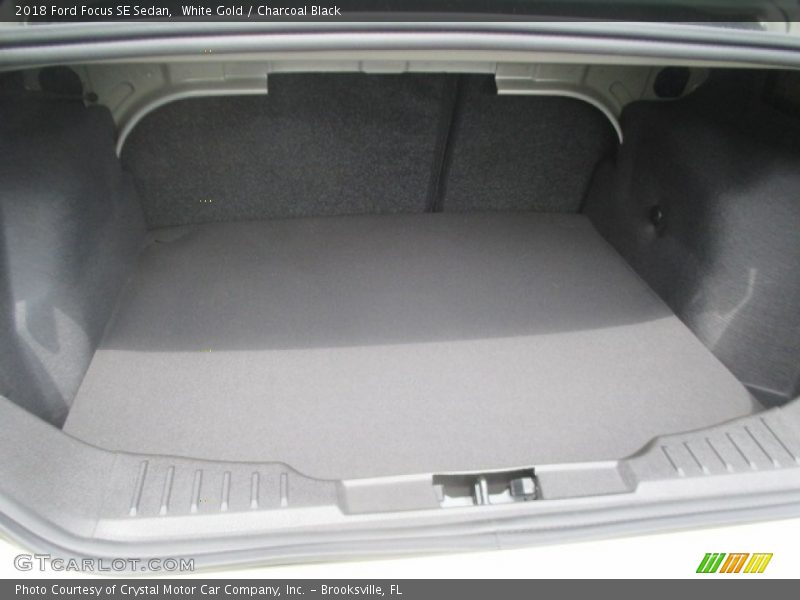White Gold / Charcoal Black 2018 Ford Focus SE Sedan
